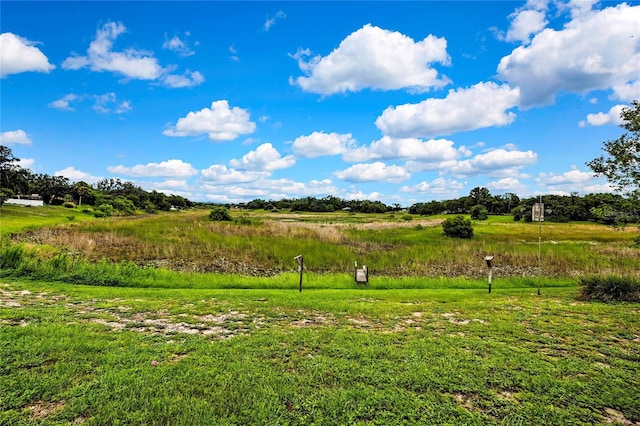 364 Waterfall Dr, Spring Hill, FL 34608 - view of yard featuring a rural view