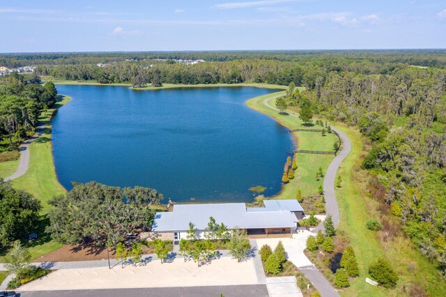 4026 Bonfire Dr, Odessa, FL 33556 - photo 71