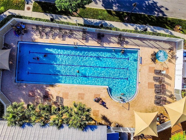 3450 Ferrell St, New Port Richey, FL 34655 - drone / aerial view of a pool