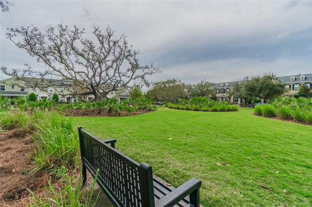 3450 Ferrell St, New Port Richey, FL 34655 - view of grassy yard