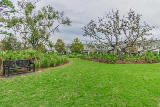 3450 Ferrell St, New Port Richey, FL 34655 - view of grassy yard featuring a residential view