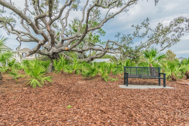 3450 Ferrell St, New Port Richey, FL 34655 - surrounding community