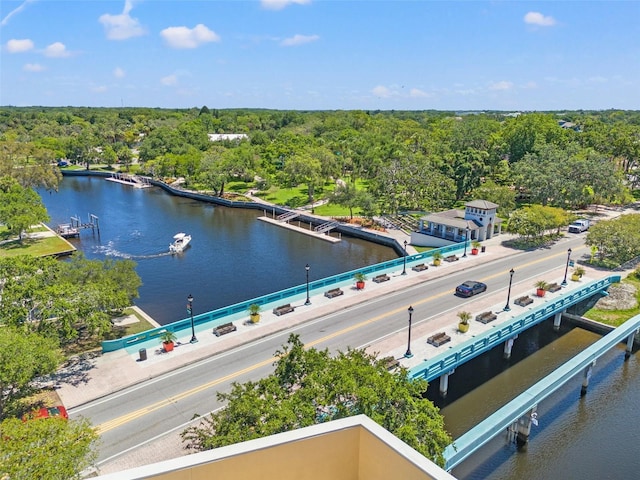 5724 Casson Ave, New Port Richey, FL 34652 - drone / aerial view of a large body of water and a heavily wooded area