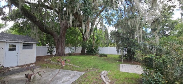 423 E Kaley St, Orlando, FL 32806 - photo 5