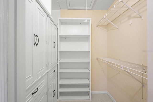 6702 Dartmoor Ln Unit 7A, New Port Richey, FL 34653 - view of spacious closet