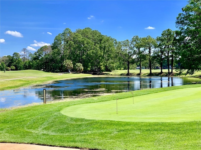 12104 Boynton Ln, New Port Richey, FL 34654 - view of community with a water view, golf course view, and view of wooded area
