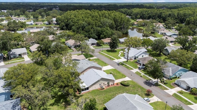 11621 Pear Tree Dr, New Port Richey, FL 34654 - photo 18