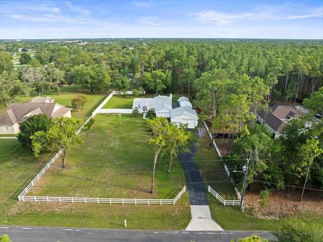 15430 Oakcrest Cir, Brooksville, FL 34604 - drone / aerial view of a forest