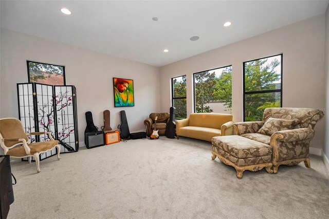 9704 Milano Dr, Trinity, FL 34655 - photo 32