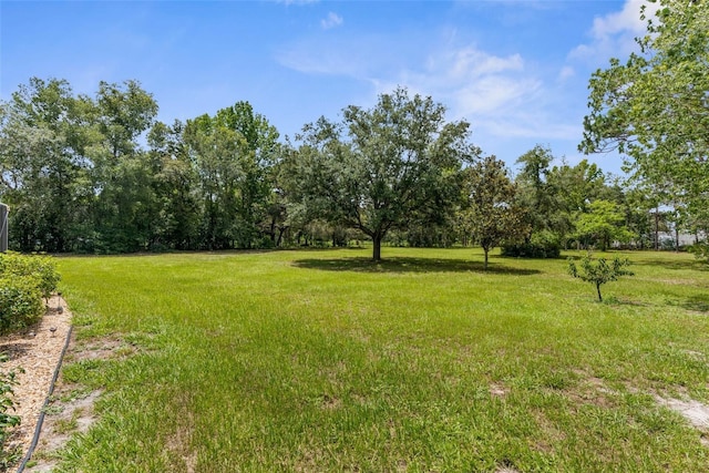 14645 Spellman Ct, Spring Hill, FL 34610 - view of green lawn