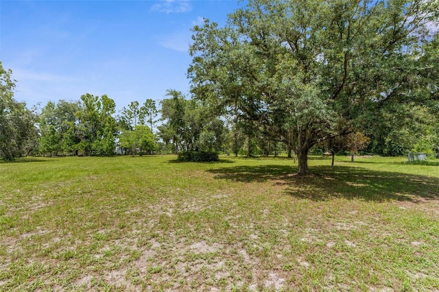 14645 Spellman Ct, Spring Hill, FL 34610 - view of green lawn