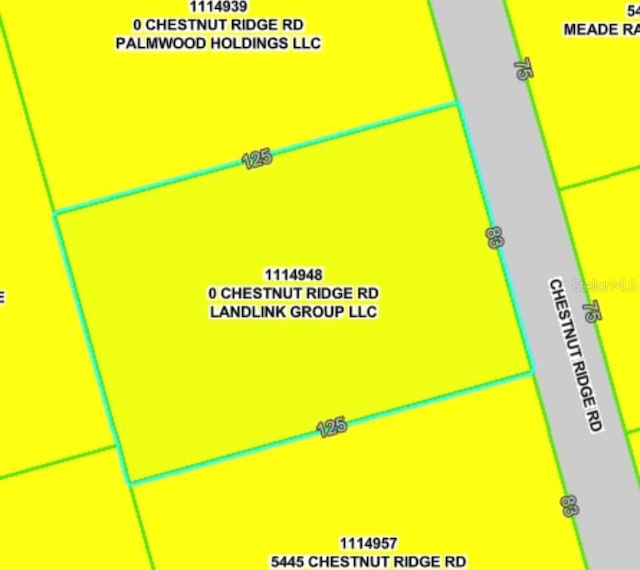 LOT194 Chestnut Ridge Rd, Dade City, FL 33523 - photo 8