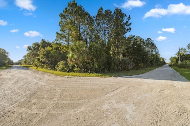0 Yellowthroat Ave, Weeki Wachee, FL 34614 - photo 2