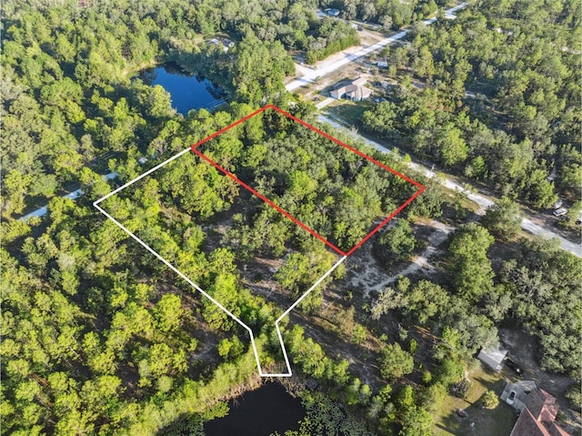 0 Yellowthroat Ave, Weeki Wachee, FL 34614 - photo 4