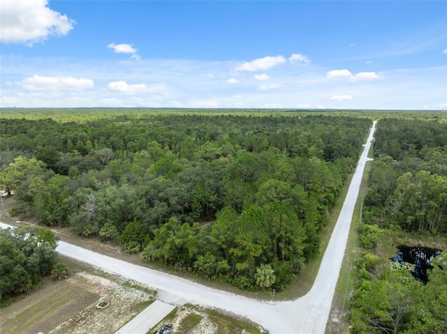 0 Yellowthroat Ave, Weeki Wachee, FL 34614 - photo 6
