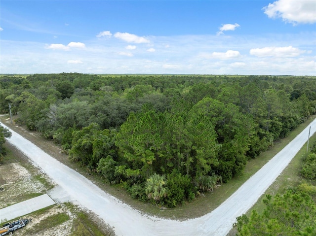 0 Yellowthroat Ave, Weeki Wachee, FL 34614 - photo 7