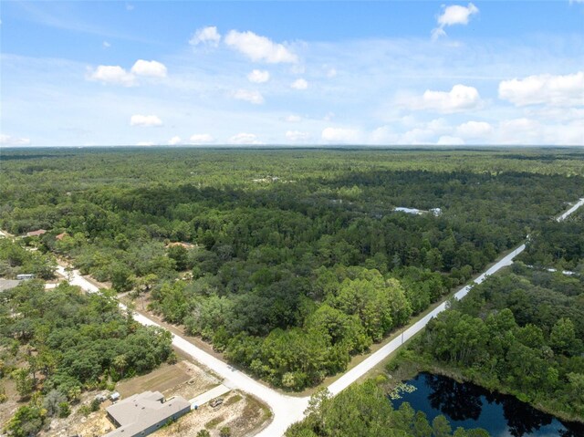 0 Yellowthroat Ave, Weeki Wachee, FL 34614 - photo 8
