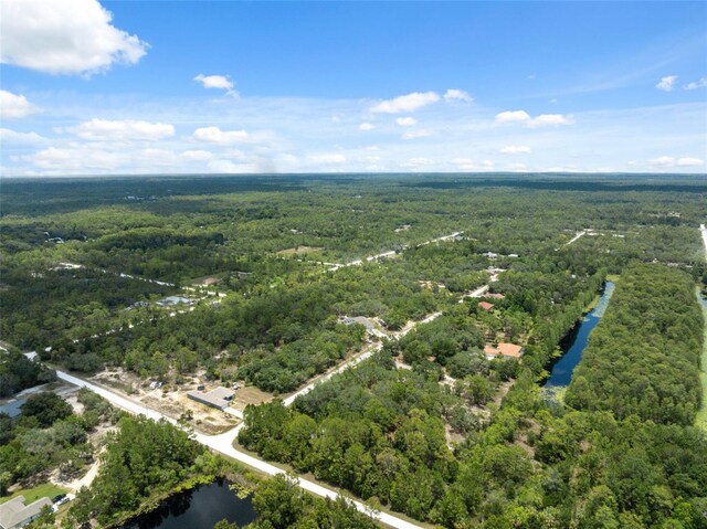 0 Yellowthroat Ave, Weeki Wachee, FL 34614 - photo 11