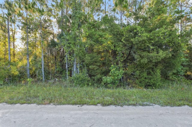 0 Yellowthroat Ave, Weeki Wachee, FL 34614 - photo 13