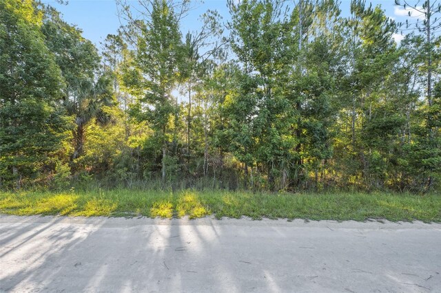 0 Yellowthroat Ave, Weeki Wachee, FL 34614 - photo 14