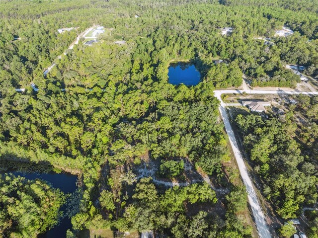 0 Yellowthroat Ave, Weeki Wachee, FL 34614 - photo 18