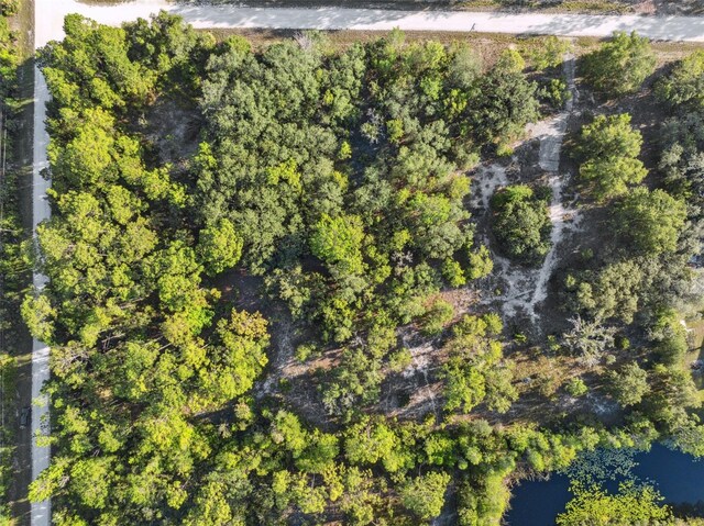 0 Yellowthroat Ave, Weeki Wachee, FL 34614 - photo 19
