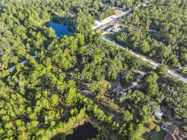 0 Yellowthroat Ave, Weeki Wachee, FL 34614 - photo 20