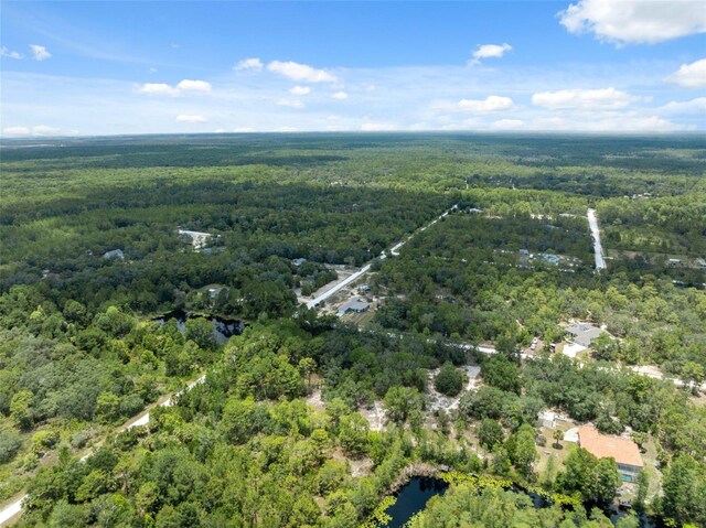 0 Yellowthroat Ave, Weeki Wachee, FL 34614 - photo 22