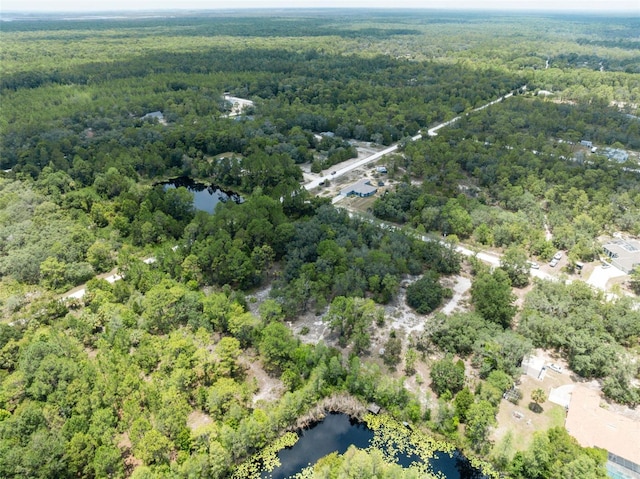 0 Yellowthroat Ave, Weeki Wachee, FL 34614 - photo 23