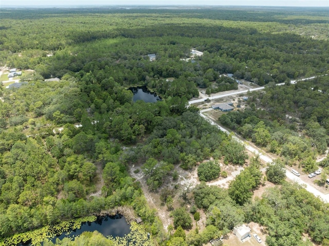 0 Yellowthroat Ave, Weeki Wachee, FL 34614 - photo 24