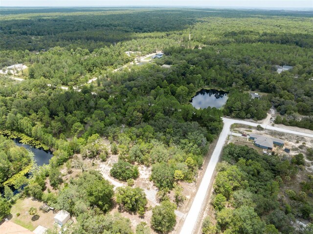 0 Yellowthroat Ave, Weeki Wachee, FL 34614 - photo 25
