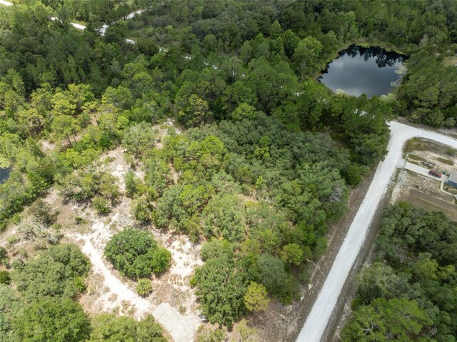 0 Yellowthroat Ave, Weeki Wachee, FL 34614 - photo 26