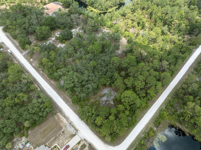 0 Yellowthroat Ave, Weeki Wachee, FL 34614 - photo 27