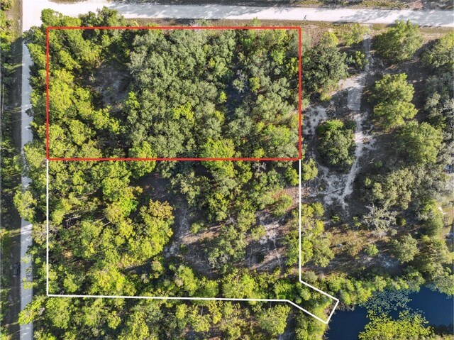 0 Yellowthroat Ave, Weeki Wachee, FL 34614 - photo 3