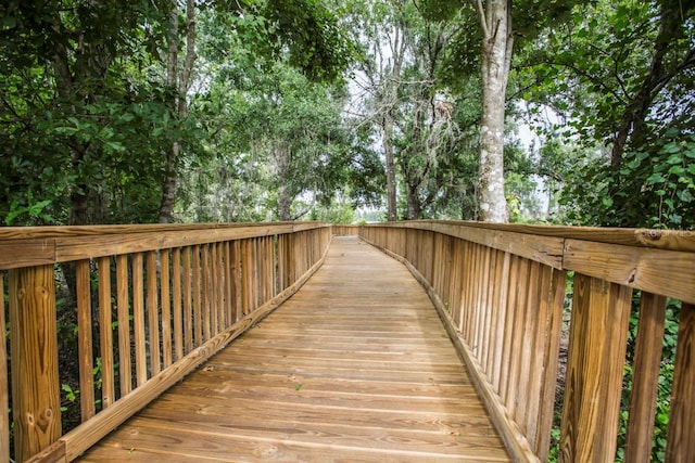 9337 Creedmoor Ln, New Port Richey, FL 34654 - photo 70
