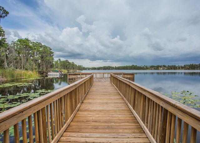 9337 Creedmoor Ln, New Port Richey, FL 34654 - photo 71