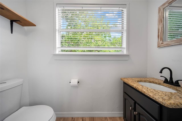 4622 Paloverde Dr, New Port Richey, FL 34652 - bathroom featuring vanity, wood finished floors, and healthy amount of natural light