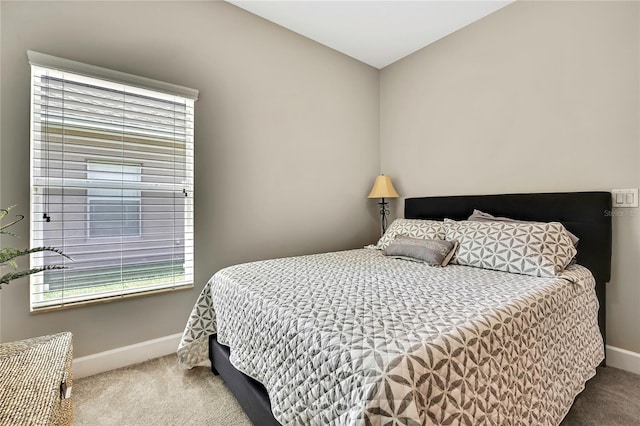 11101 Ragsdale Ct, New Port Richey, FL 34654 - carpeted bedroom with baseboards