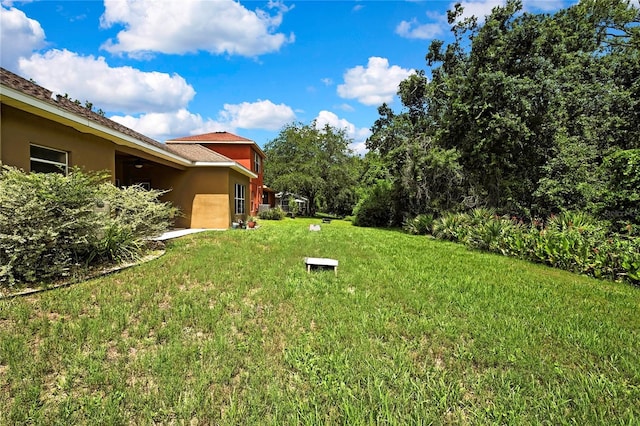 11101 Ragsdale Ct, New Port Richey, FL 34654 - view of grassy yard