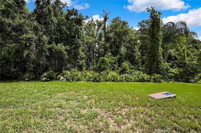 11101 Ragsdale Ct, New Port Richey, FL 34654 - view of grassy yard