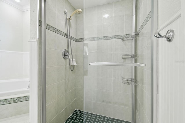 2519 Shipston Ave, New Port Richey, FL 34655 - bathroom with a shower stall and ornamental molding