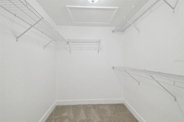 2519 Shipston Ave, New Port Richey, FL 34655 - spacious closet with carpet floors and attic access