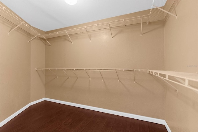 1430 Rosetree Ct, Clearwater, FL 33764 - photo 44
