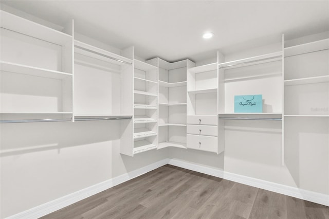 5555 Baffin Cir, Spring Hill, FL 34606 - walk in closet with wood finished floors
