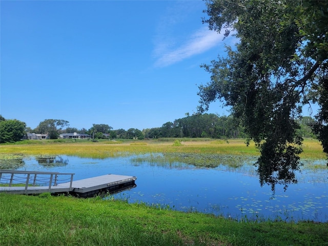 5555 Baffin Cir, Spring Hill, FL 34606 - dock with a water view