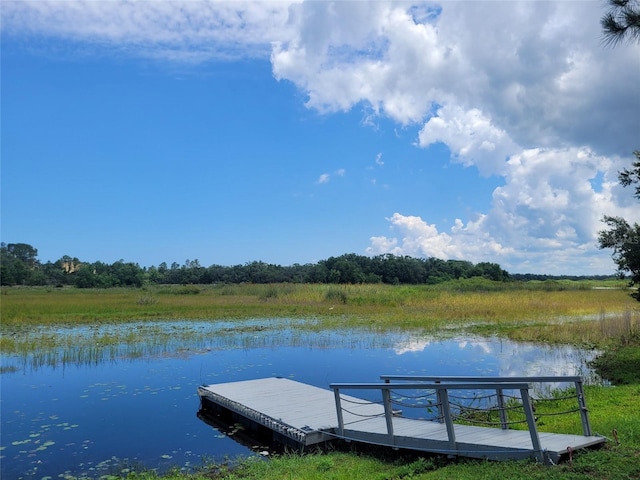 5555 Baffin Cir, Spring Hill, FL 34606 - dock with a water view