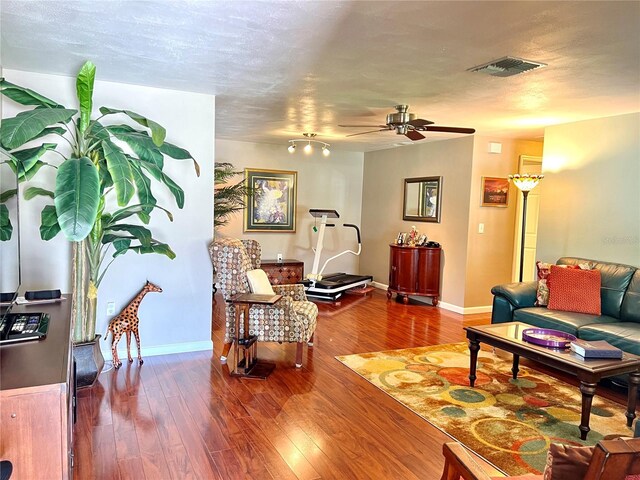 3447 Paloma Dr, Holiday, FL 34690 - photo 7