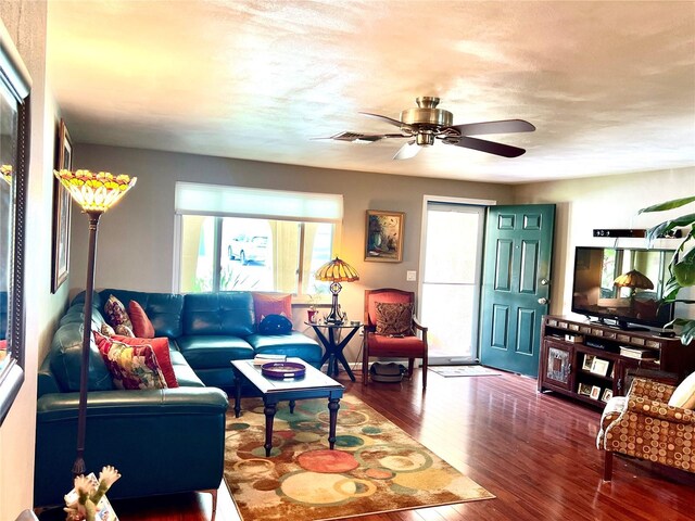 3447 Paloma Dr, Holiday, FL 34690 - photo 12