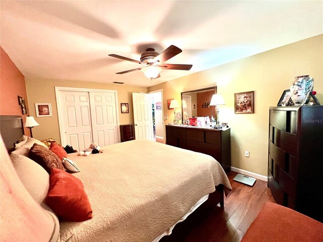 3447 Paloma Dr, Holiday, FL 34690 - photo 13