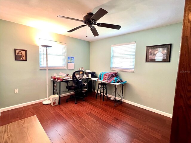 3447 Paloma Dr, Holiday, FL 34690 - photo 15
